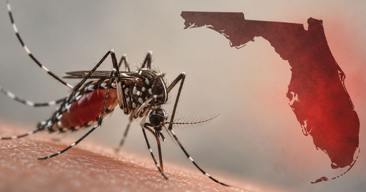 Dengue Outbreak in Florida Reaches Unprecedented Levels Since the 1930s