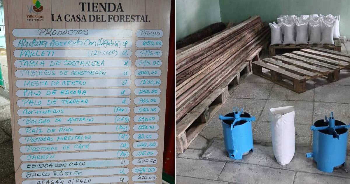 Pine Roots and Sawdust Packages: Villa Clara's New Store Reflects Cuba's Energy Struggles