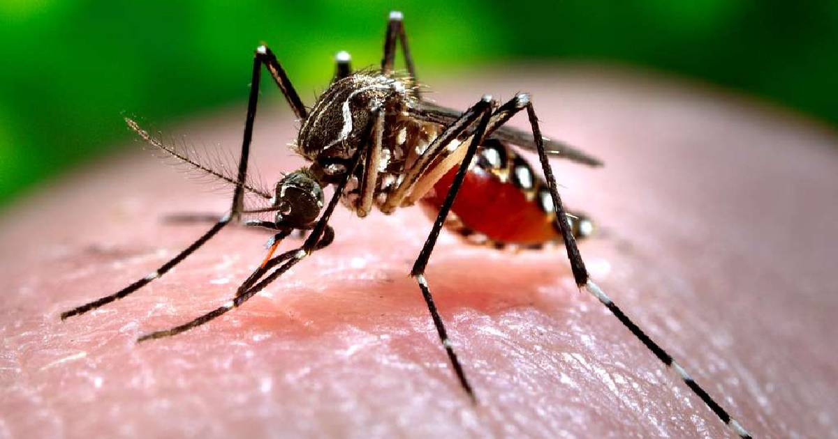 Fuel Shortages Hamper Fumigation Efforts in Las Tunas Amidst Escalating Health Crisis