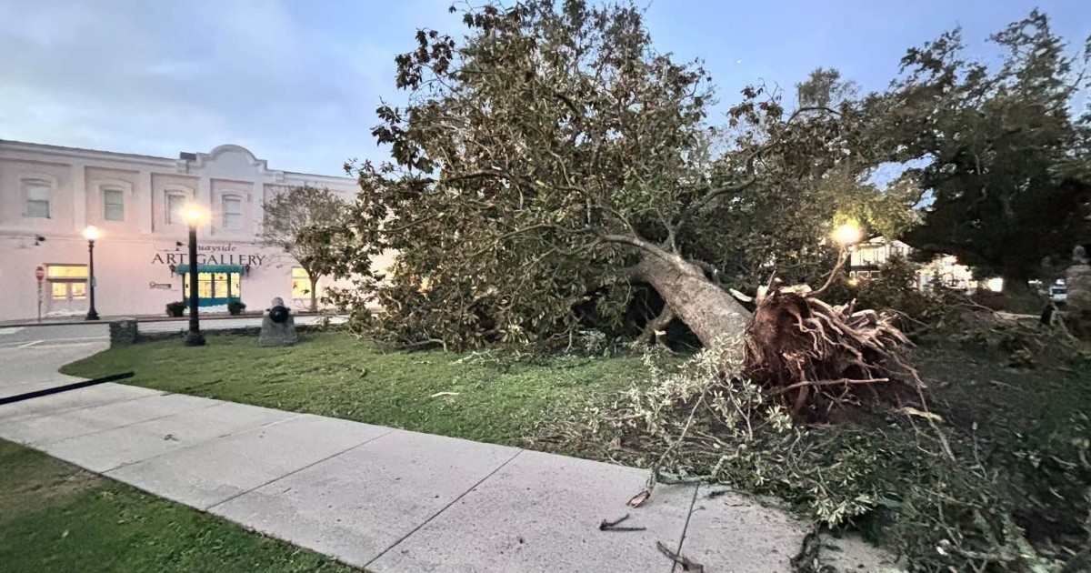 Florida Grapples with Widespread Power Outages Following Hurricane Isaias