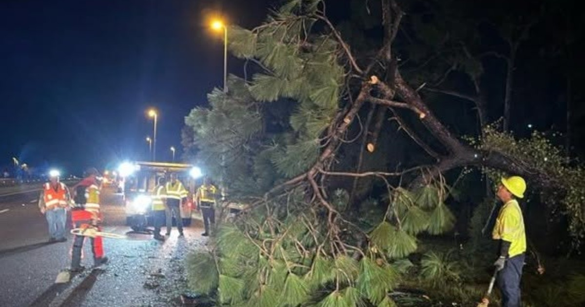 Two Fatalities Confirmed in Florida Following Hurricane Isaias