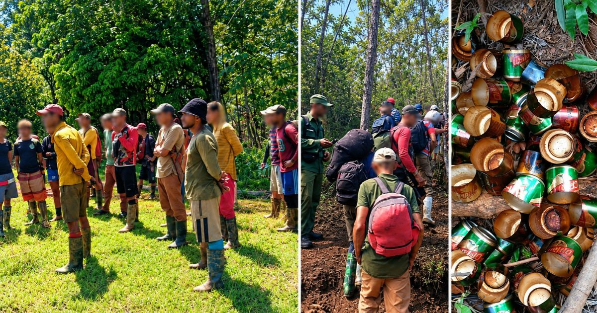 Over 60 Arrested in Guantánamo Crackdown on Illegal Mining