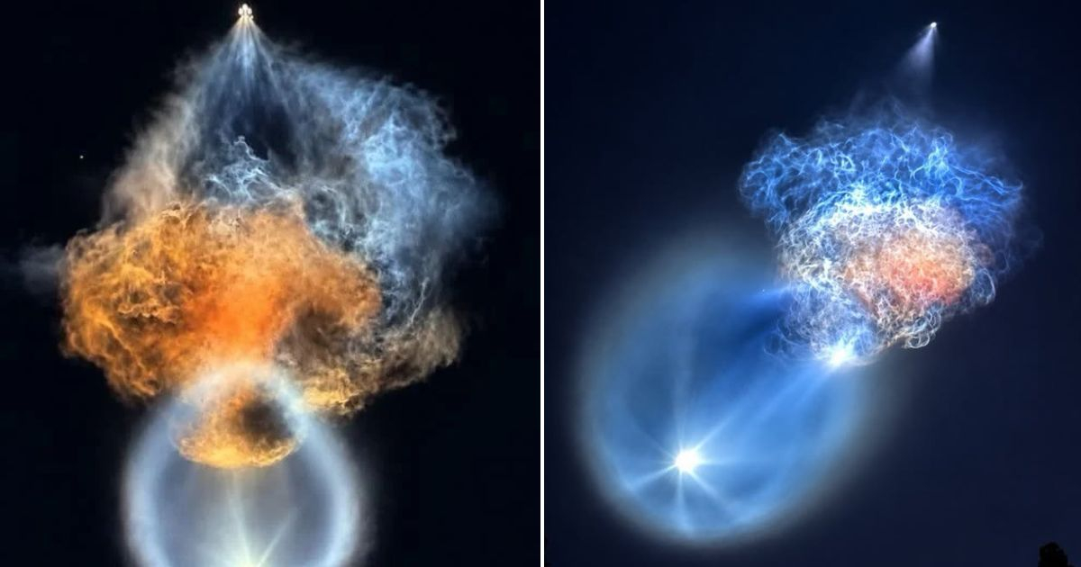 Spectacular 'Space Jellyfish' Lights Up Florida Sky in SpaceX Launch