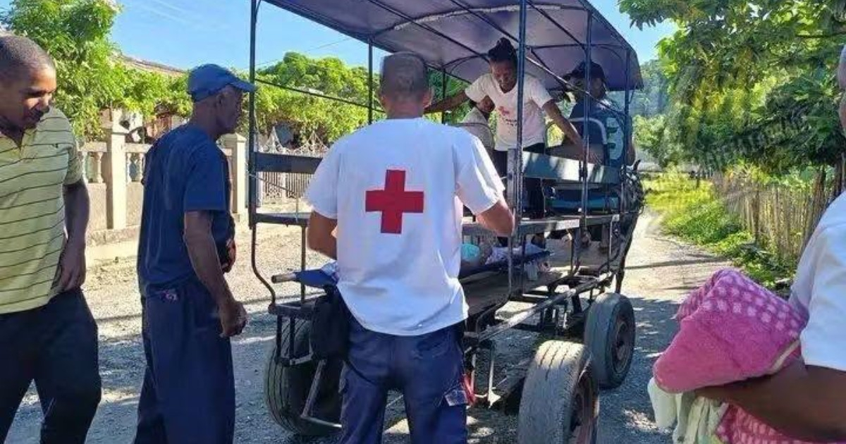 Elderly Woman, 83, Transported by Horse-Drawn Cart for Medical Care in Guamá