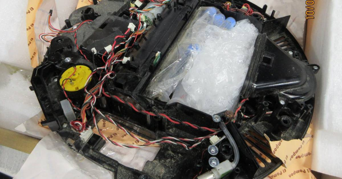 Unusual Stowaway: Live Ants Found Inside Robot Vacuum by U.S. Customs