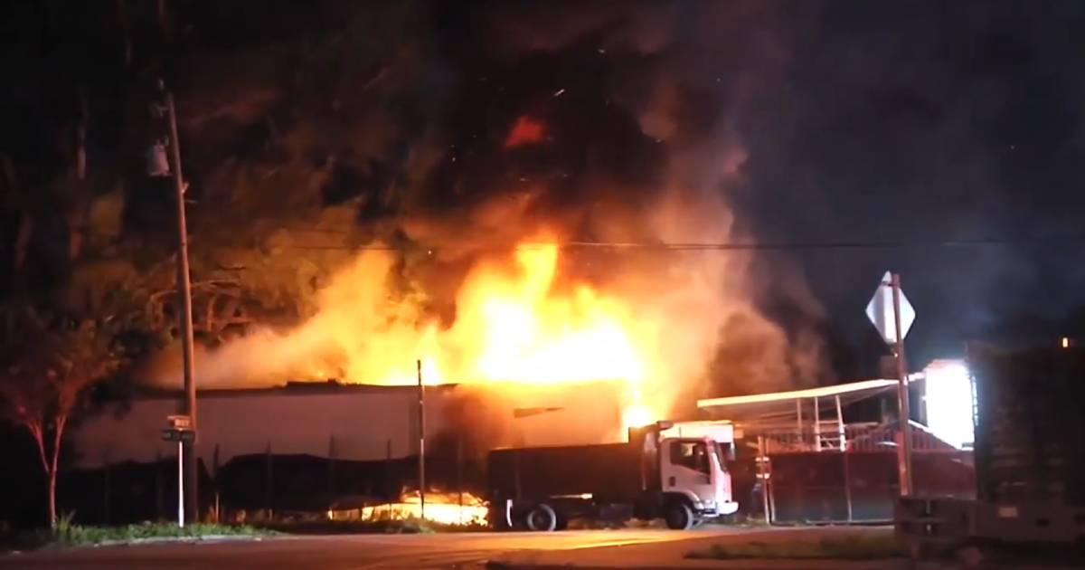 Trailer Fire in Miami-Dade Leaves Man Devastated, But His Pets Survive