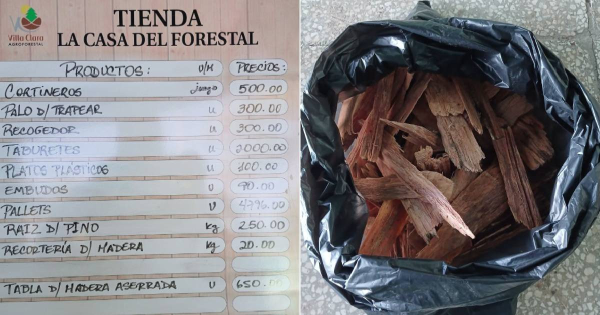 Pine Kindling Bags Offered at Santa Clara's Forester’s House for 250 Pesos
