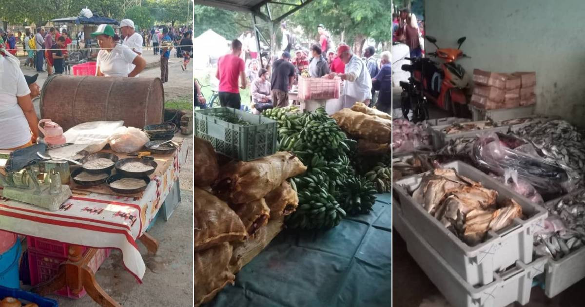 Criticism Overprices and Quality at Las Tunas Agro-Commercial Fair