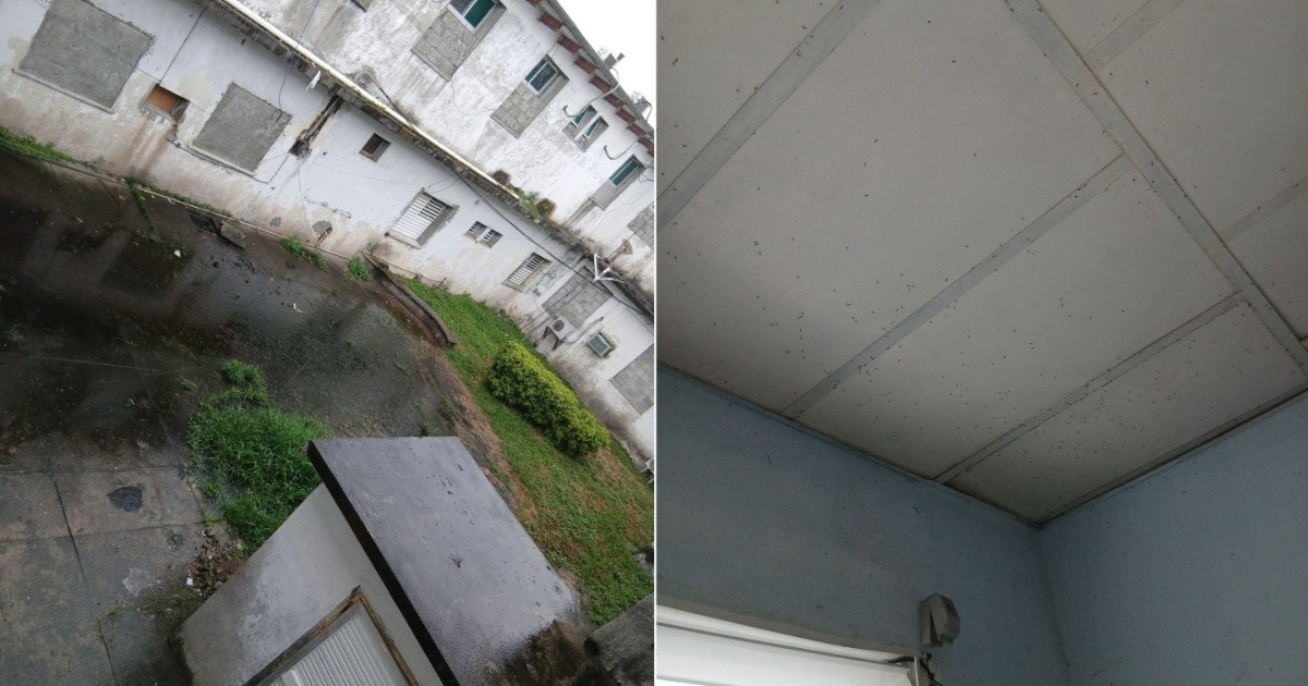 Mother Reports Infestation of Mosquitoes and Rats at Baracoa Hospital as Grandson Awaits Transfer Due to Fuel Shortage