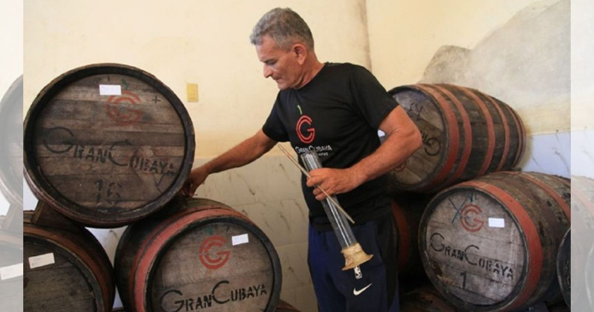 Cuban Family's Attempt to Grow Sugarcane for Beverage Business Rejected