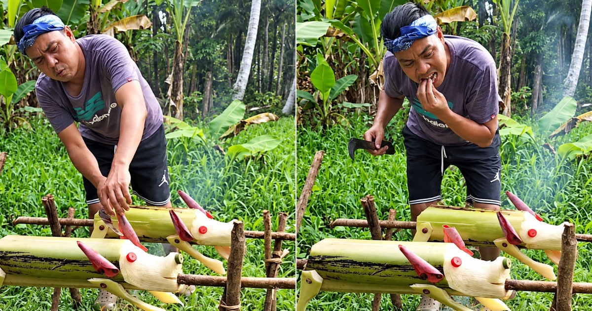 Cubans Turn to Humor Amid Rising Food Prices: The Viral Banana Trunk Pig Video