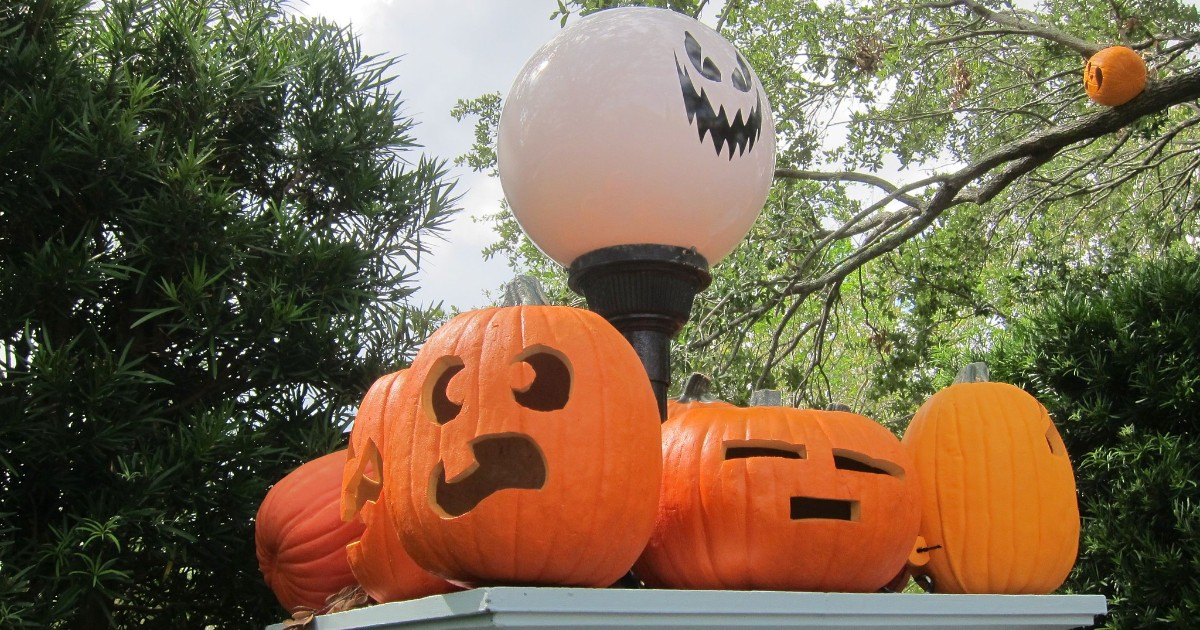 Halloween Festivities in Miami and South Florida: Free Family Activities on October 30th and 31st
