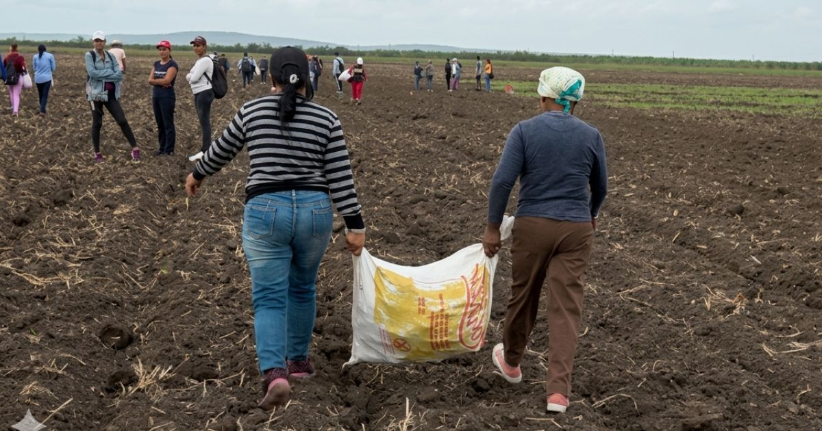 Women in Rural Cuba Face Limited Land Rights and Economic Challenges