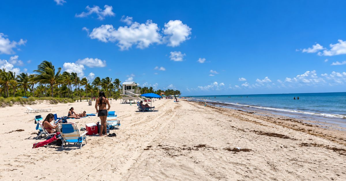 Crandon Park South Beach Advisory: High Bacteria Levels Detected