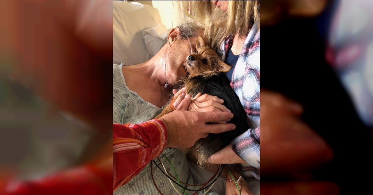 Foto tomada al abuelo moribundo con su perrita en el hospital. © @elliemigueel / Twitter