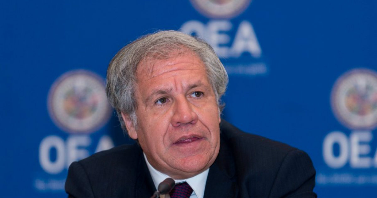 Luis Almagro © Twitter/ @Almagro_OEA2015