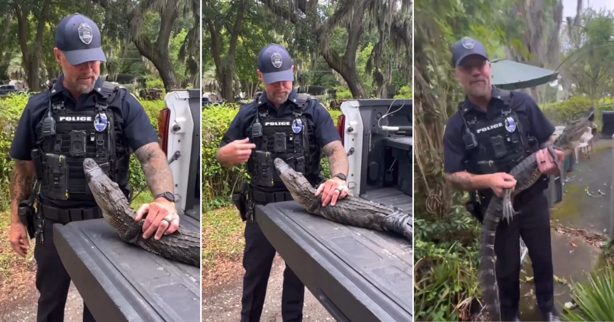 Caimán invade la casa de una anciana de 104 años en Jacksonville