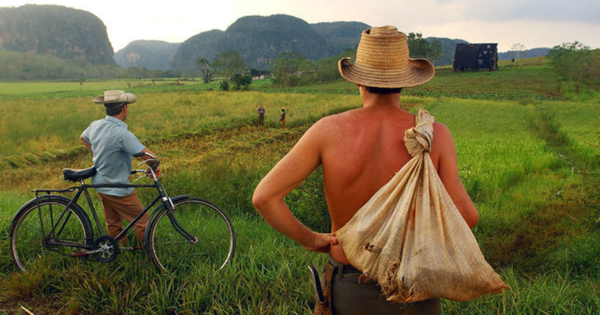 Foto de campesinos cubanos en Viñales. © libertadsindical