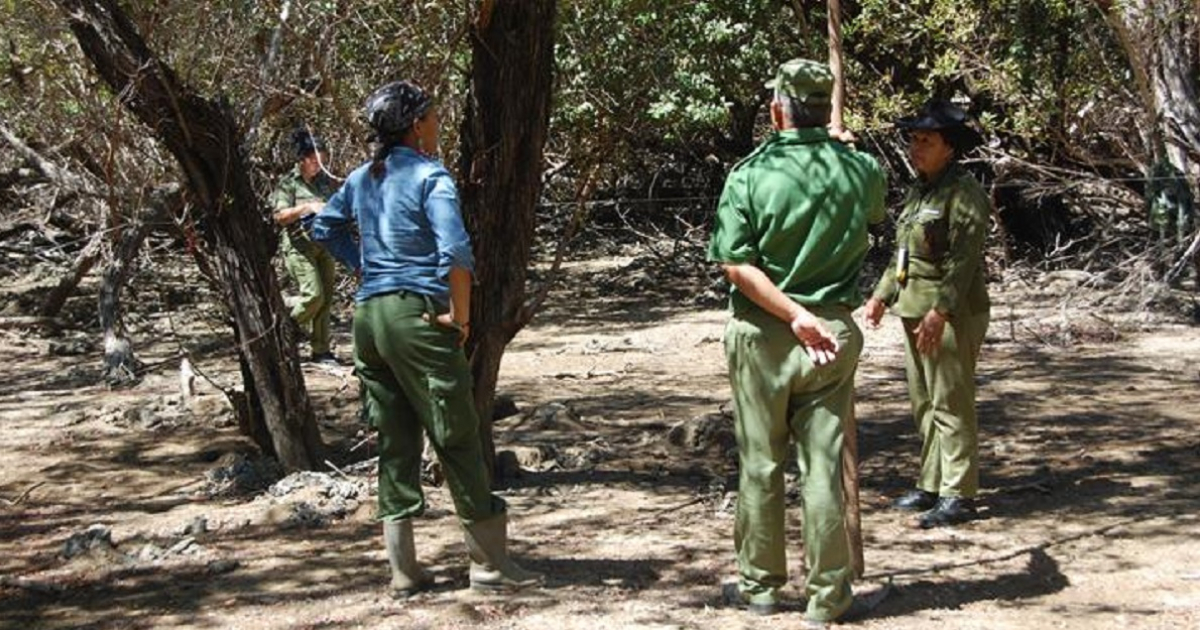 Especialistas en manglares cubanos © Blog Cosas del Chago