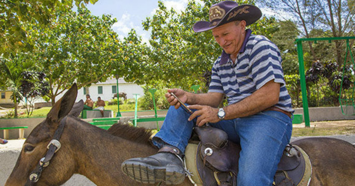 Un campesino, conectándose a internet a lomos de un caballo. © Cubadebate