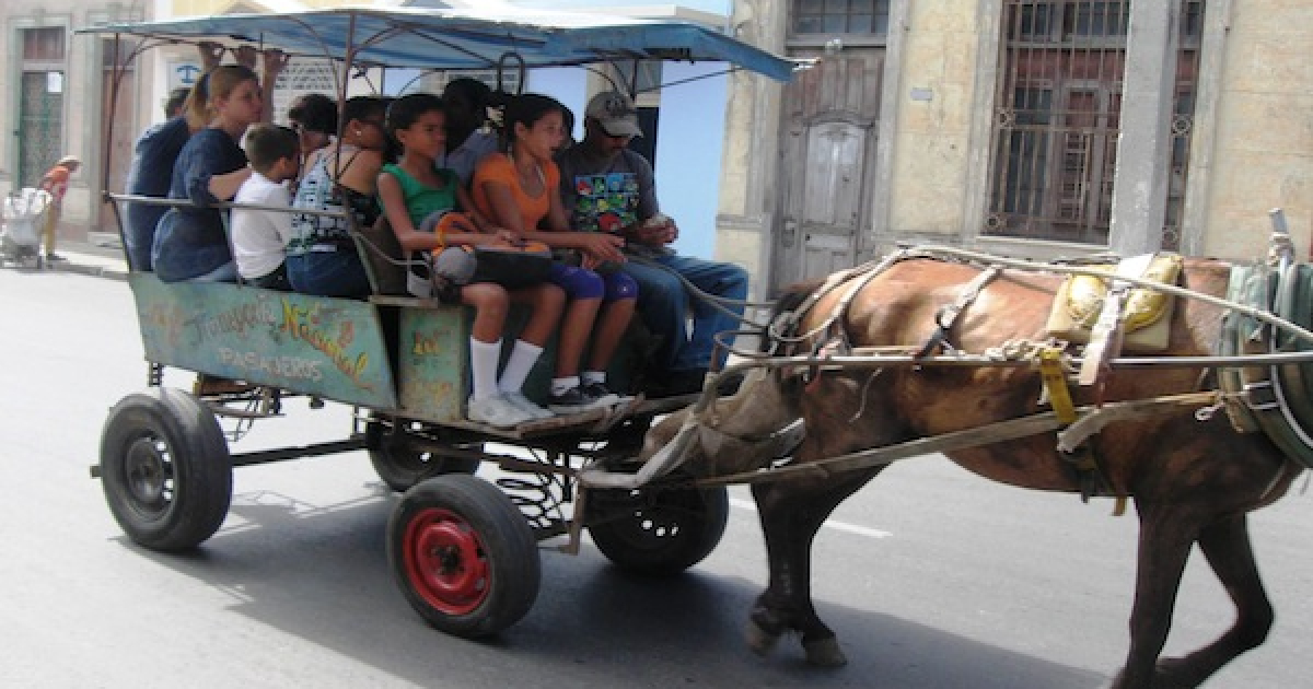 Un coche de caballos en la provincia de Cienfuegos © Cubanet