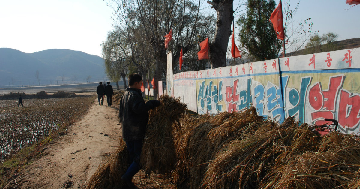 Trabajos agrícolas en Corea del Norte © Wikimedia Commons / Archivo