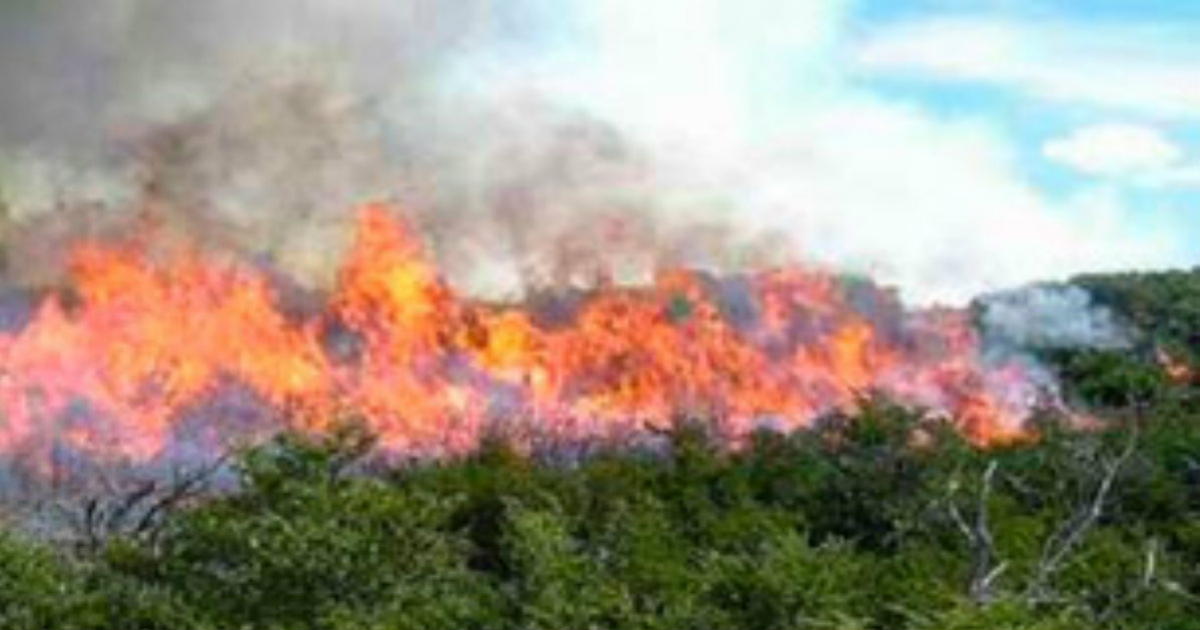 Incendio forestal en Cuba © bohemia.cu