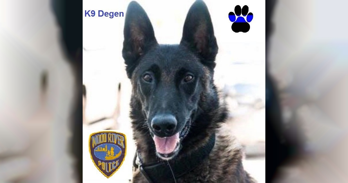 Degen K9 © Facebook/Wood River Police Department