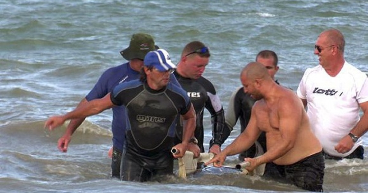 Hermosa historia de amor en Matanzas salvamento delfines © Raúl Dávalos/Cubadebate