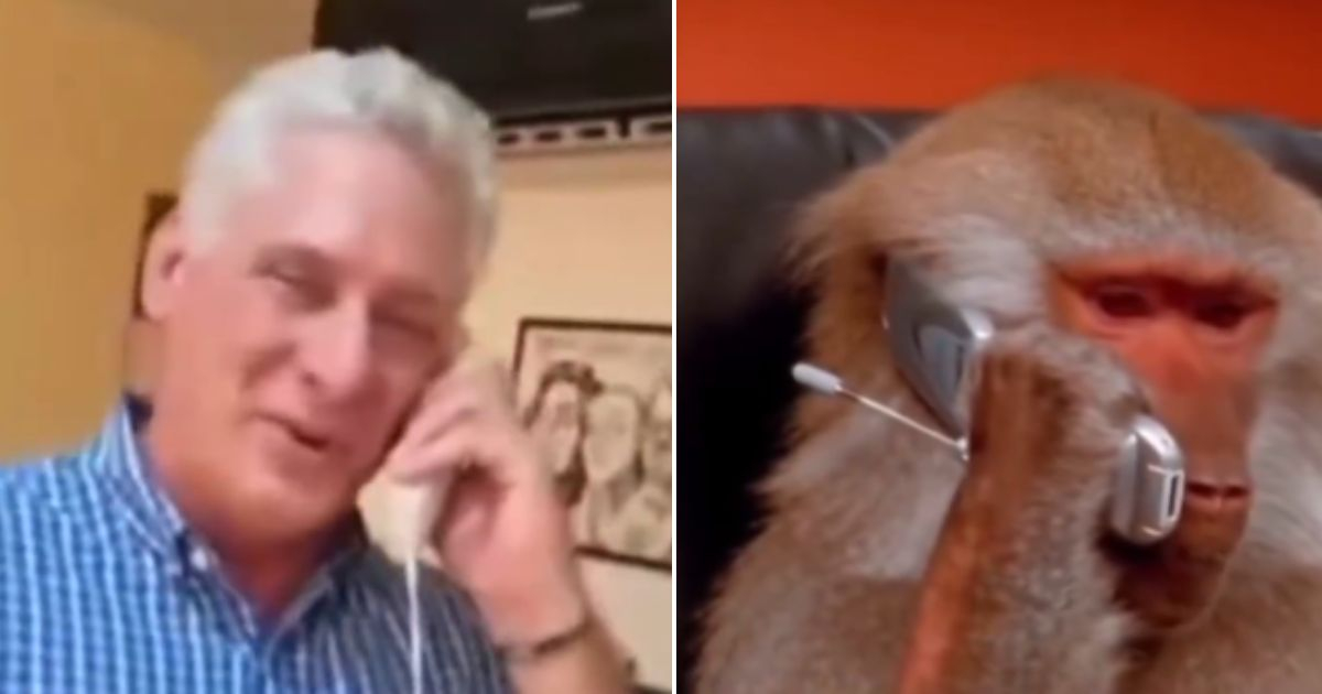 Miguel Díaz-Canel protagoniza parodia sobre el mono fugitivo de Caibarién
