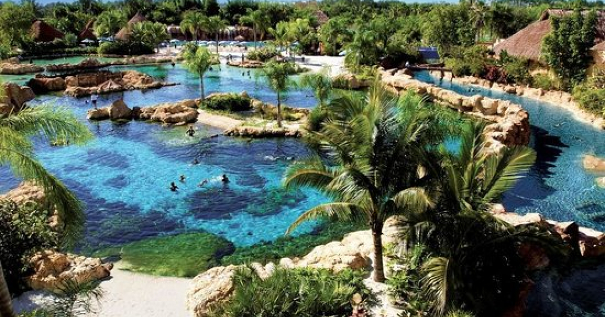 'discovery Cove', parque temático de Orlando © TripAdvisor