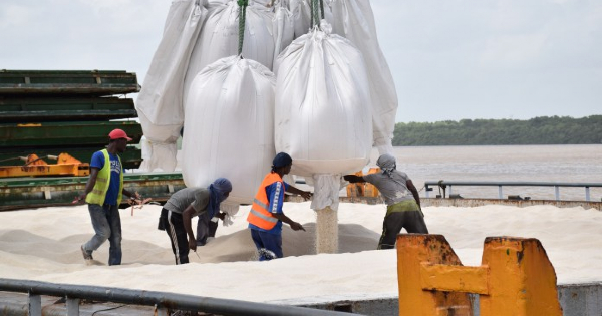 Cargamento de arroz Guyana © iNewsGuyana