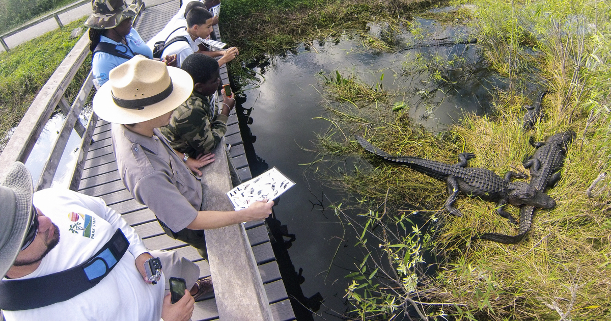 Everglade National Park © Creative Commons
