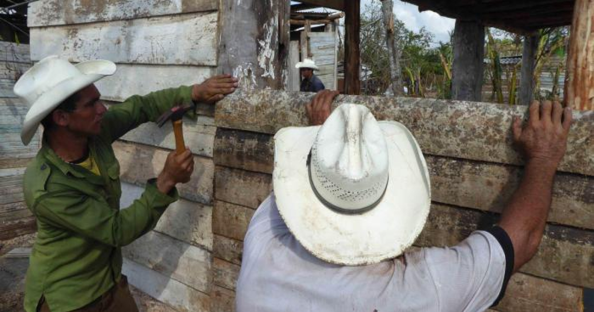 Casas de tabla de palma en Cuba © Granma