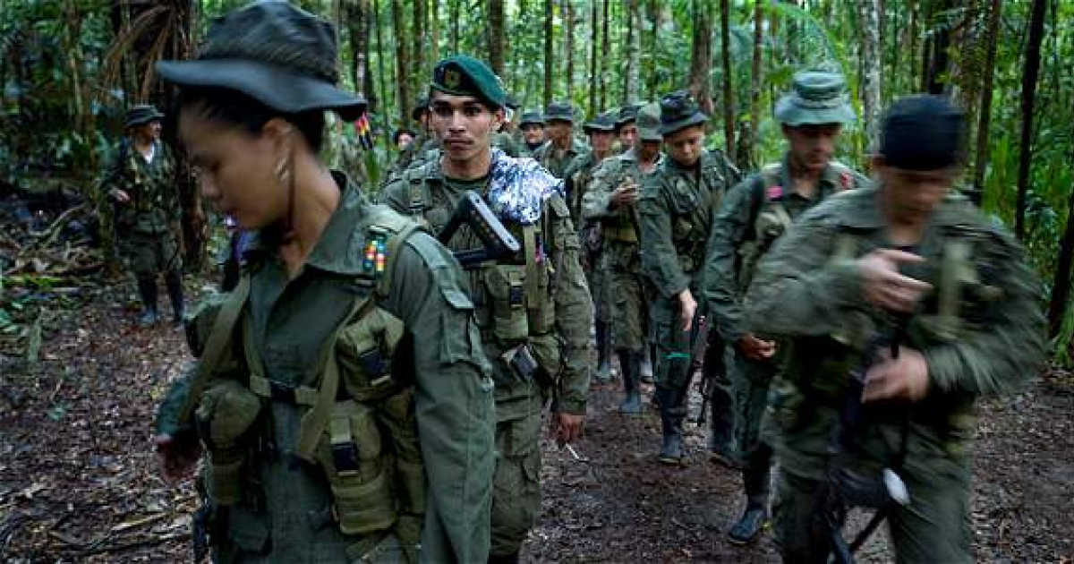 Guerrilleros de las FARC © eltiempo.com