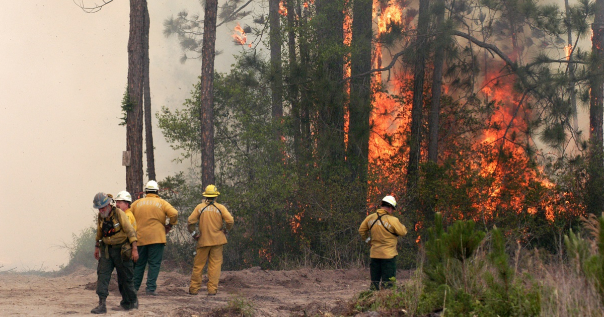  Florida en Estado de Emergencia por fuegos © Wikimedia Commons
