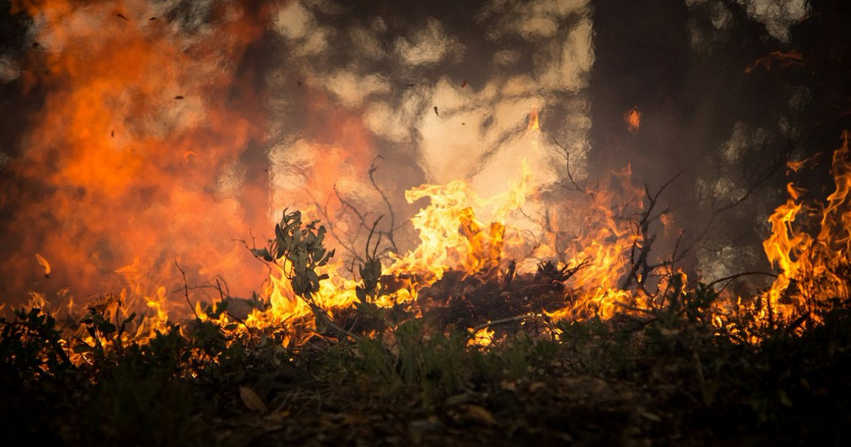 Incendios en California © NOAA/Twitter