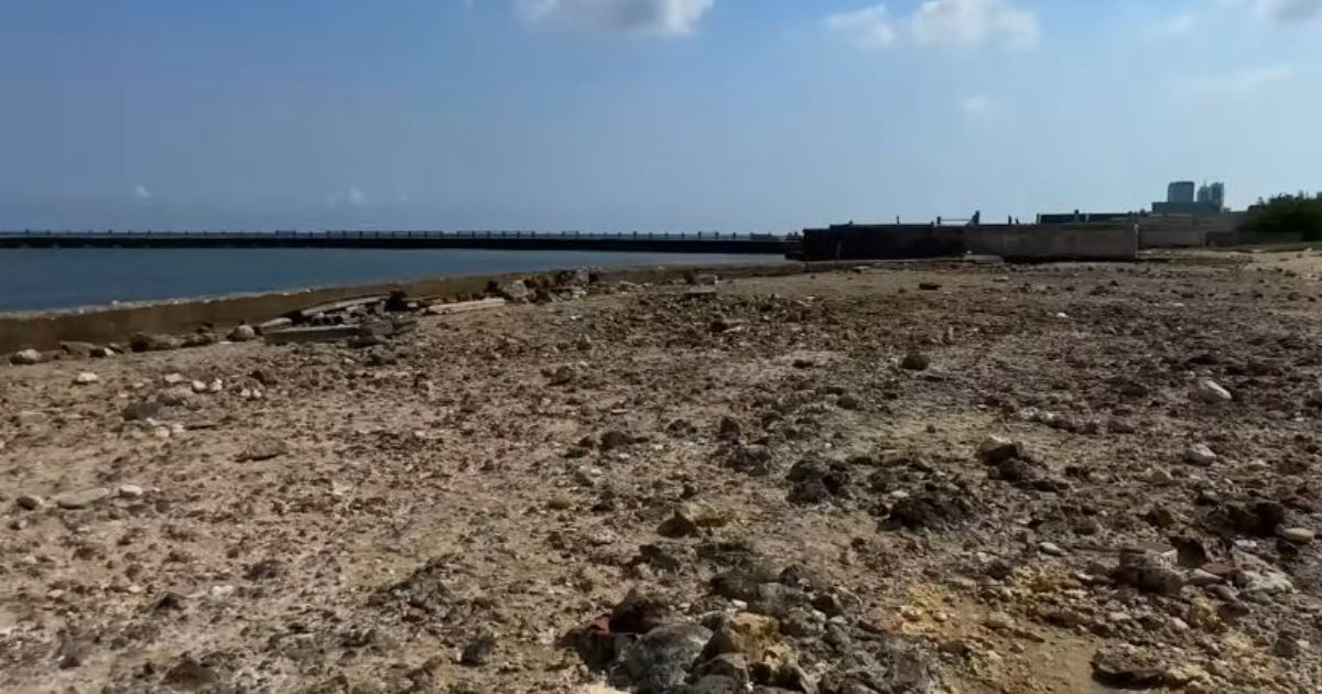 La youtuber Camila Carballo denuncia el abandono del Coney Island y el Abreu Fontán