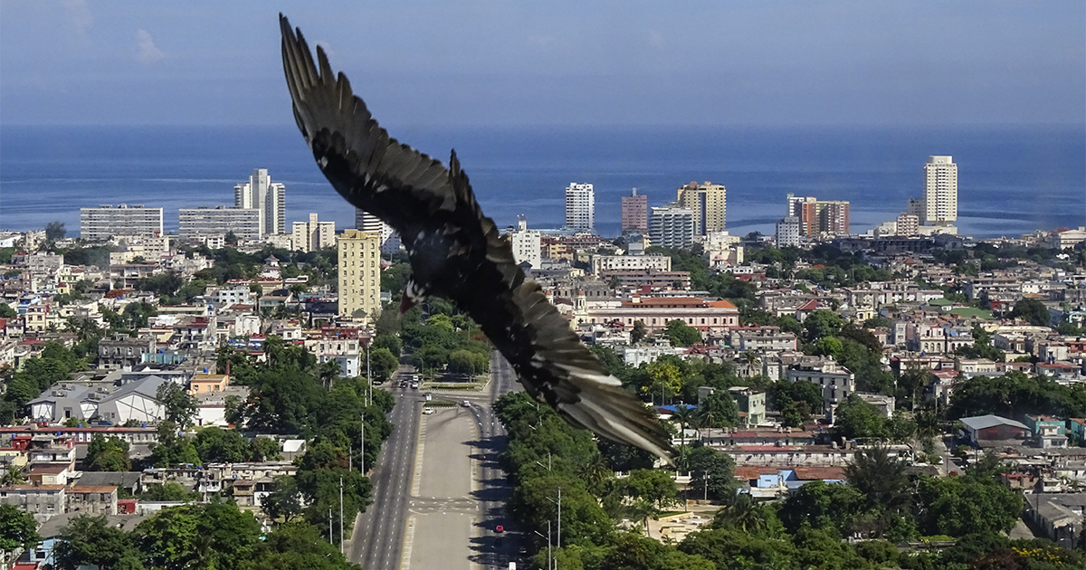 El Vedado, a vista de pájaro © CiberCuba