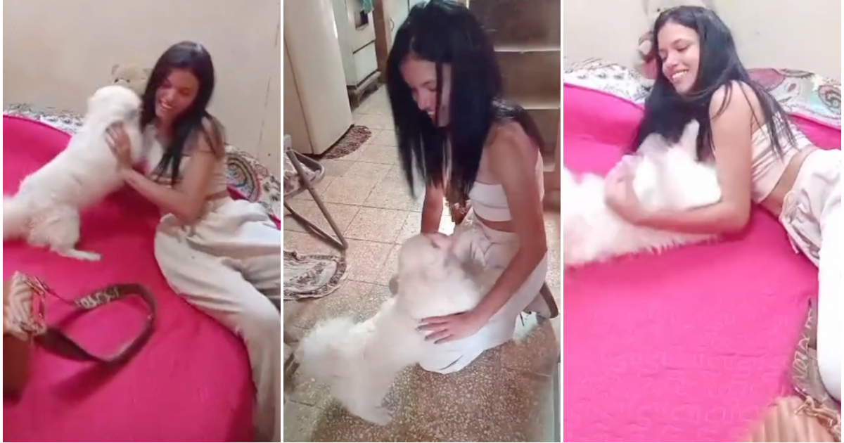 Cubana vuelve a su tierra y se reencuentra con su perrito tras casi dos años