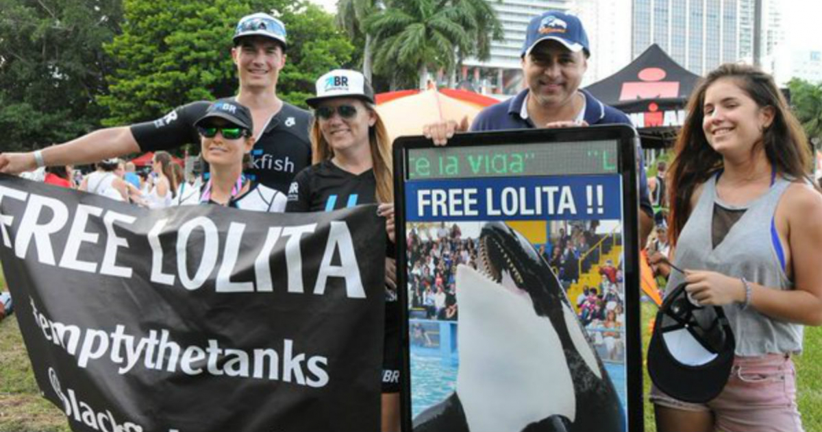 Manifestantes piden este martes la liberación de la orca Lolita. © Rayban / Twitter