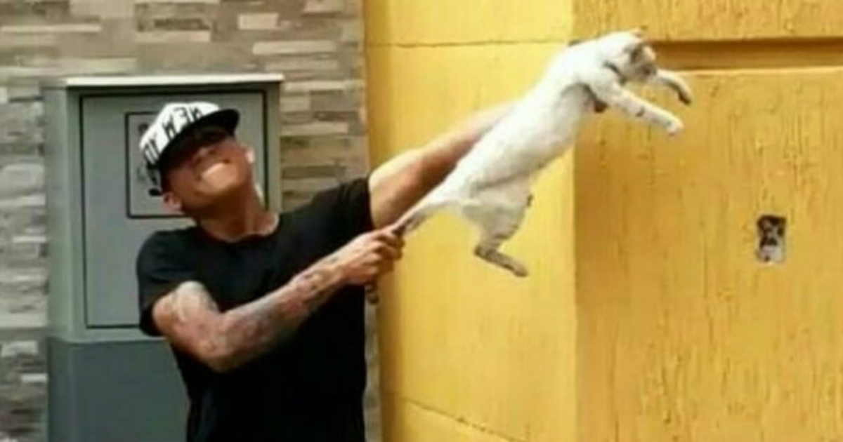 Uno de los futbolistas, maltratando a un gato. © Adosepa / Instagram