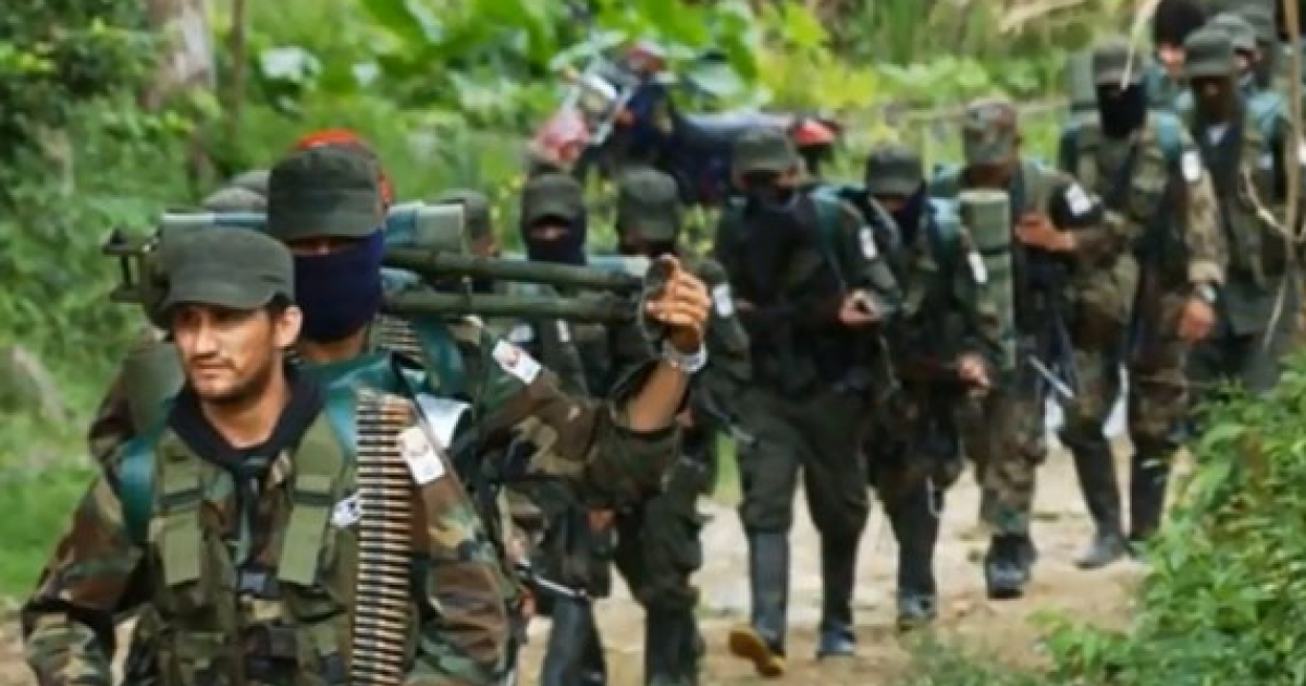 guerrilla de las FARC © nmnoticias.ca