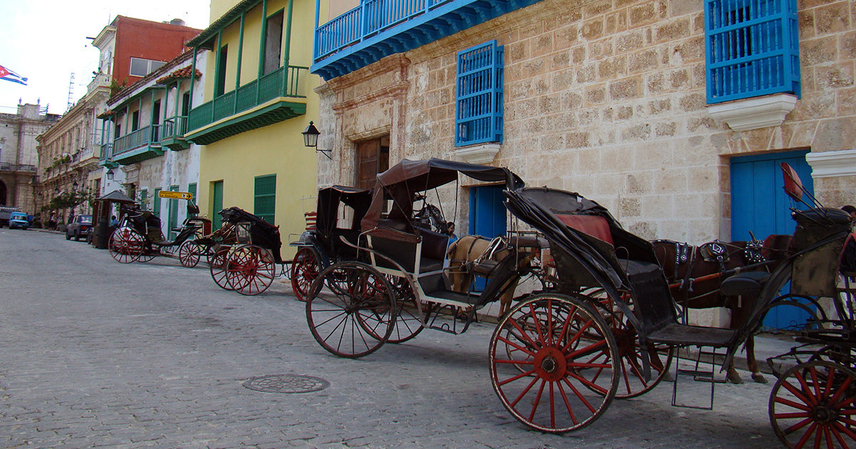 Coches de caballo en La Habana © 