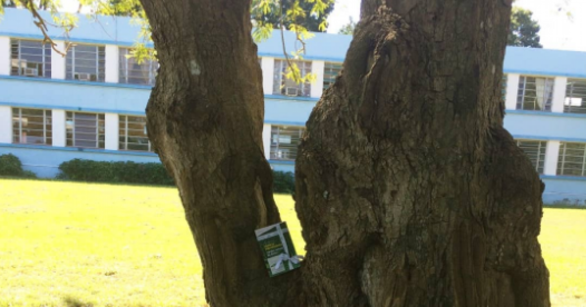 En la Universidad de Villa Clara © @bookfairies_cuba