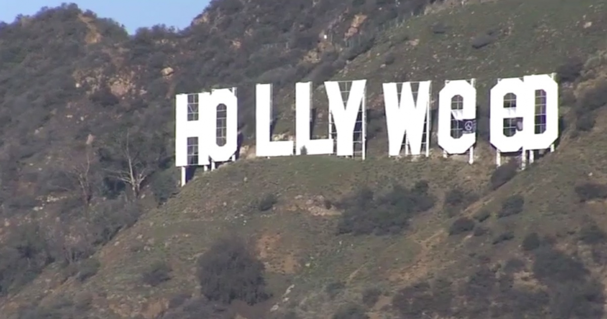 Cartel de Hollyweed © ABC News Webcapture video