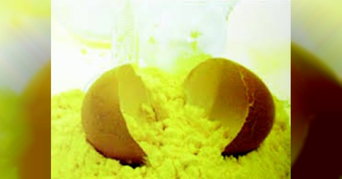Huevo deshidratado cubano. © Alimport.cu