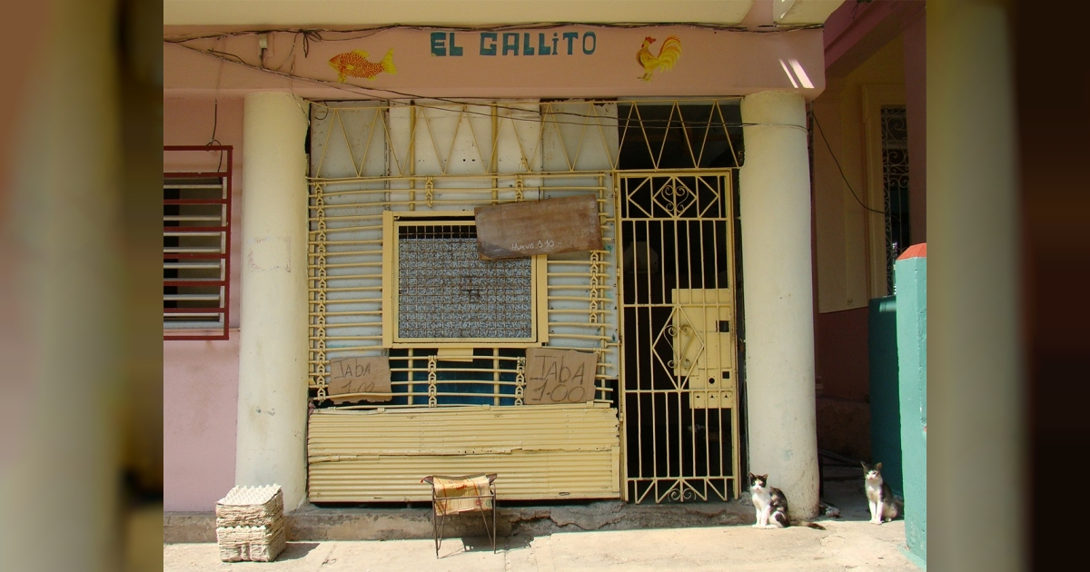 Establecimiento de venta de huevos cerrado y rodeado de gatos en La Habana. © CiberCuba.