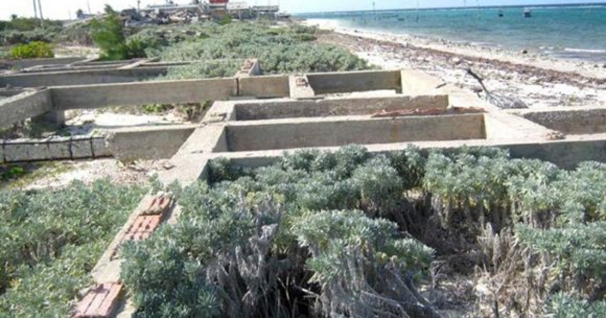 Construcciones ilegales en la playa de Santa Lucía © Granma / Miguel Febles Hernández