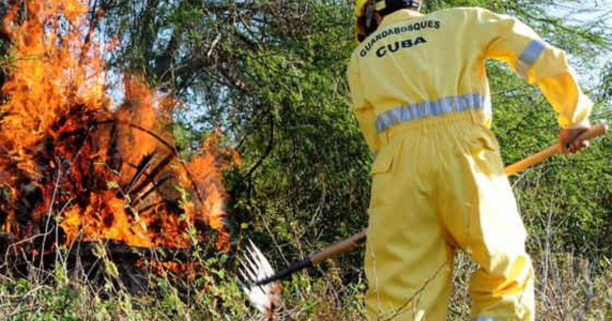 Incendio forestal en Cuba © RadioReloj